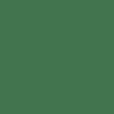 StoTint Aqua oxidgrün 0,5 l 